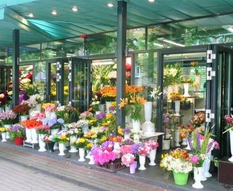 花屋のプレハブ冷蔵庫のカビ問題と解決策