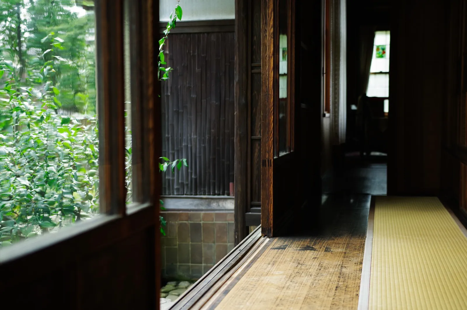 富士五湖（山中湖・河口湖等）の別荘カビ取り・カビ対策決定版！資産価値を守る精密調査と定期清掃のご案内