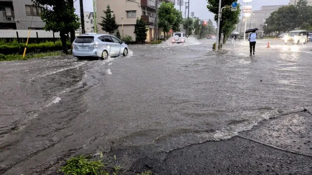 【千葉・東京・神奈川・茨城】大雨・洪水後の「施設内のカビ臭」を放置しないで！学校・店舗・基地・図書館・葬儀会館のカビ対策プロが解決✨