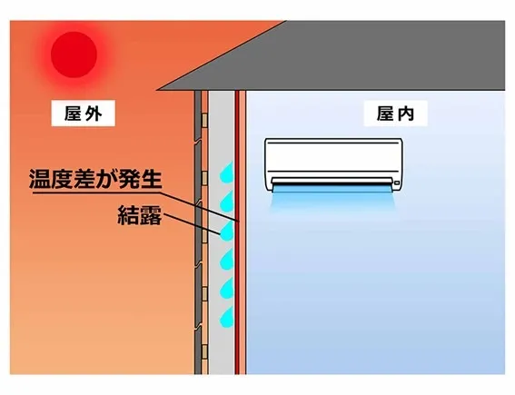 夏の室内カビが引き起こす？！夏型過敏性肺炎とカビ対策