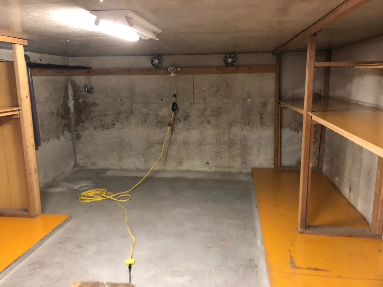 【緊急警告】MDF（中密度繊維板）・パーティクルボードにカビ発生が急増中！知らないと危険なリスクと正しい対処法をカビバスターズ東海が解説