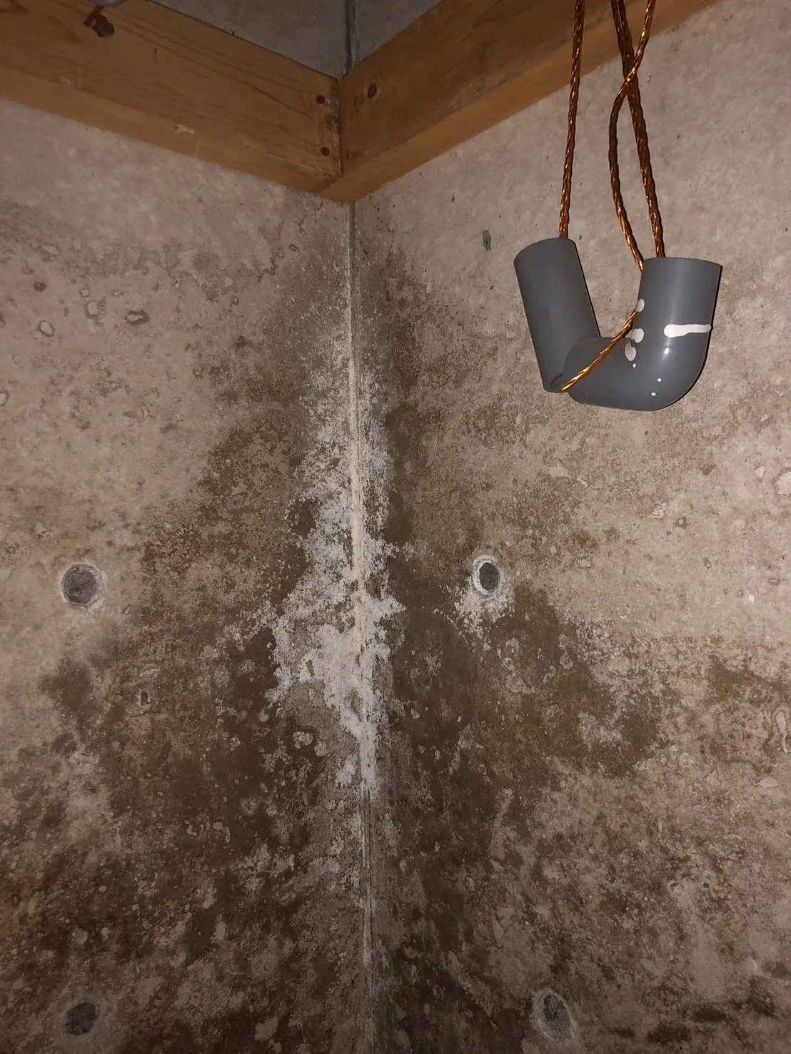 東京都港区　高級住宅の地下室のカビ取り現場