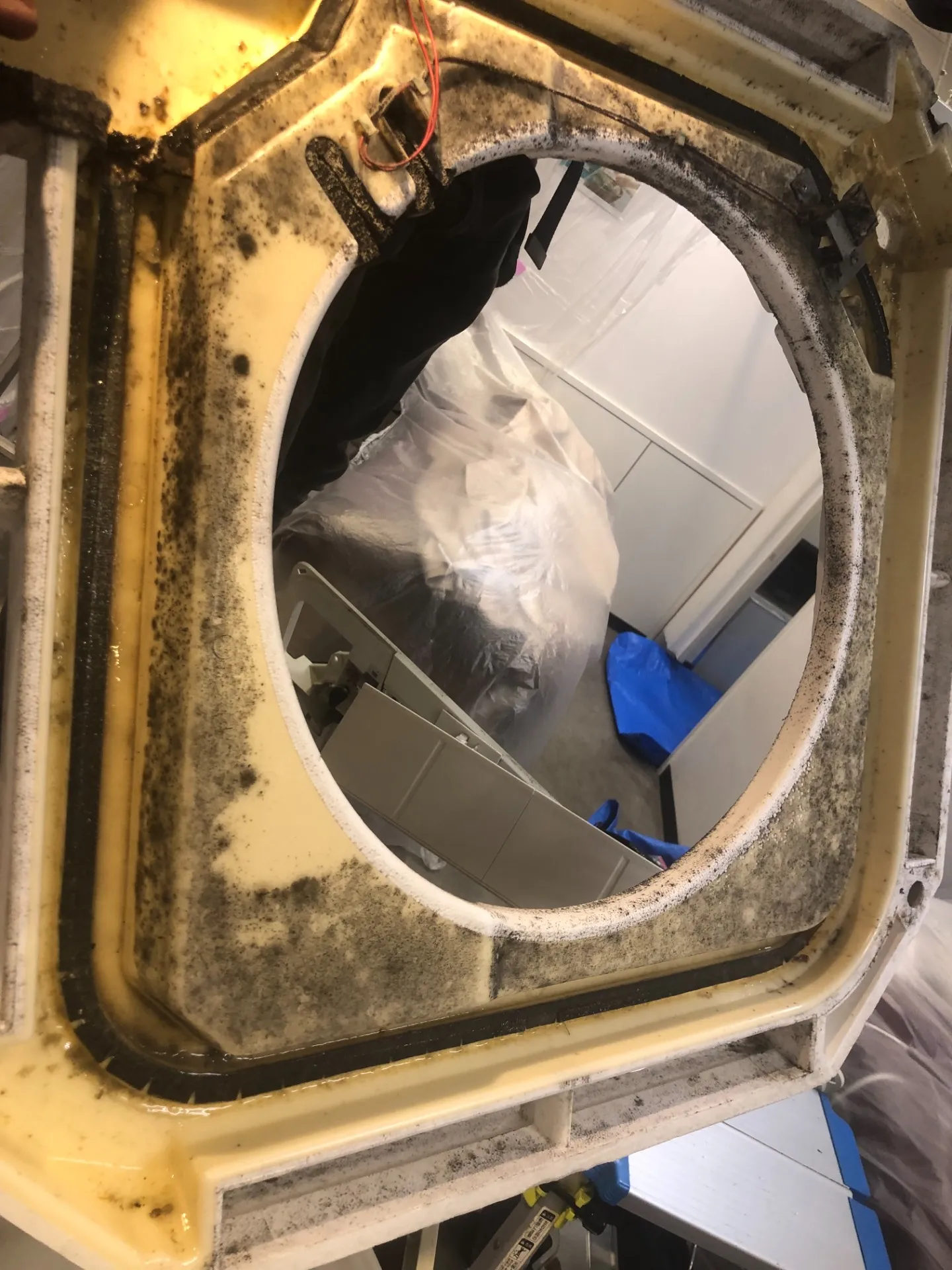 エアコンカビ取り洗浄