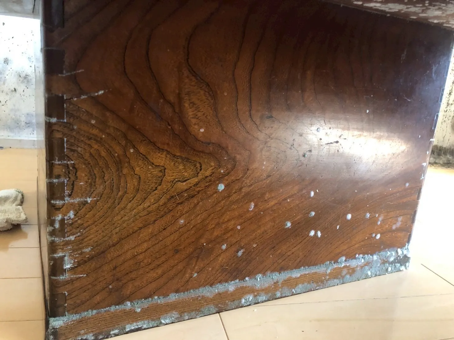 【総桐たんすのカビ取り 完全保存版】大切な桐箪笥を守るために──東海・関東でプロが“安全に”カビを除去します