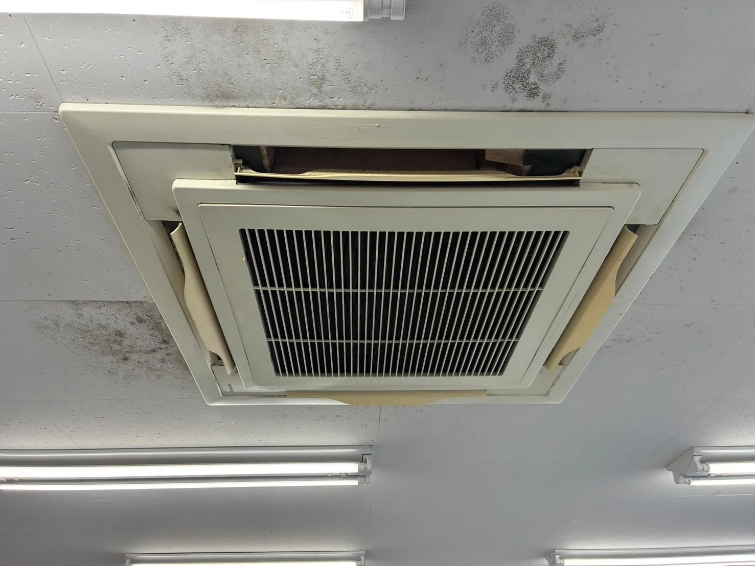 エアコンのカビ取りは今がチャンス！4月・5月の分解洗浄で夏に「カビ胞子」を撒き散らさない方法