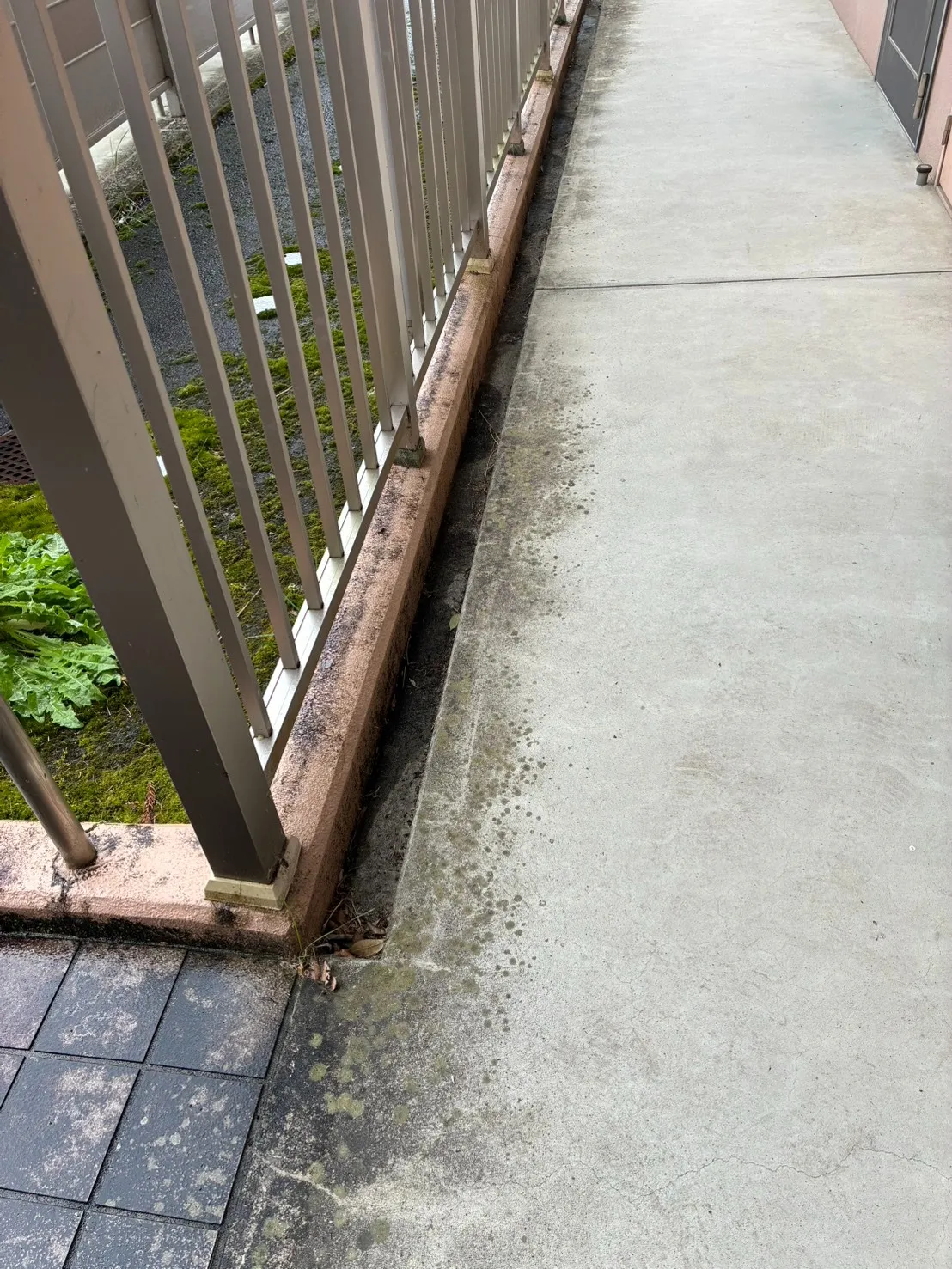 浜松市　マンション　カビ調査