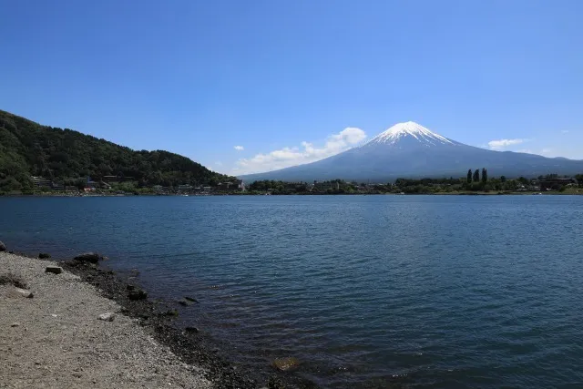 富士五湖の別荘・ホテル・レジャー施設をカビから守る！プロが教える根本解決と安心の環境づくり✨